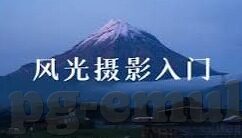 布莱顿足球比分-布莱顿，从比分起伏中见证足球的激情与韧性