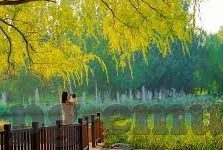 球探足球比分7.2.1-探秘球探足球比分7.2.1，足球数据时代的精准导航