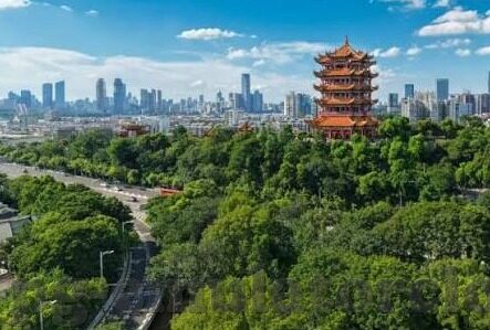 只有足球和篮球比分-在数字的海洋中，唯有足球与篮球比分激起千层浪