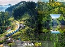 足球比分网9号-足球比分网9号，绿茵场上的数字密码，解锁你的足球激情