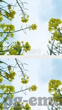 足球比分直播jie-揭秘足球比分直播背后的技术江湖，速度、精准与用户体验的终极较量
